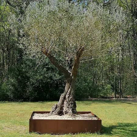 Maison Bois Casa vacanze *