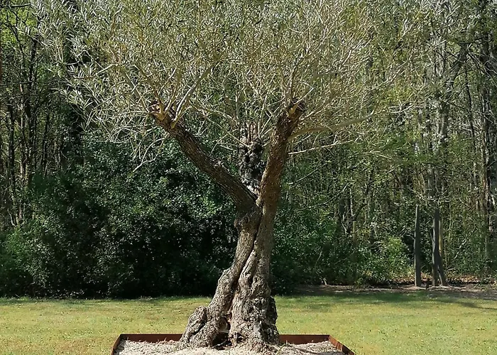 Maison Bois Casa vacanze *